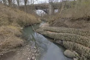 Stream in wooded ravine in late fall. Stream lined with gabion baskets. Large bridge in background.