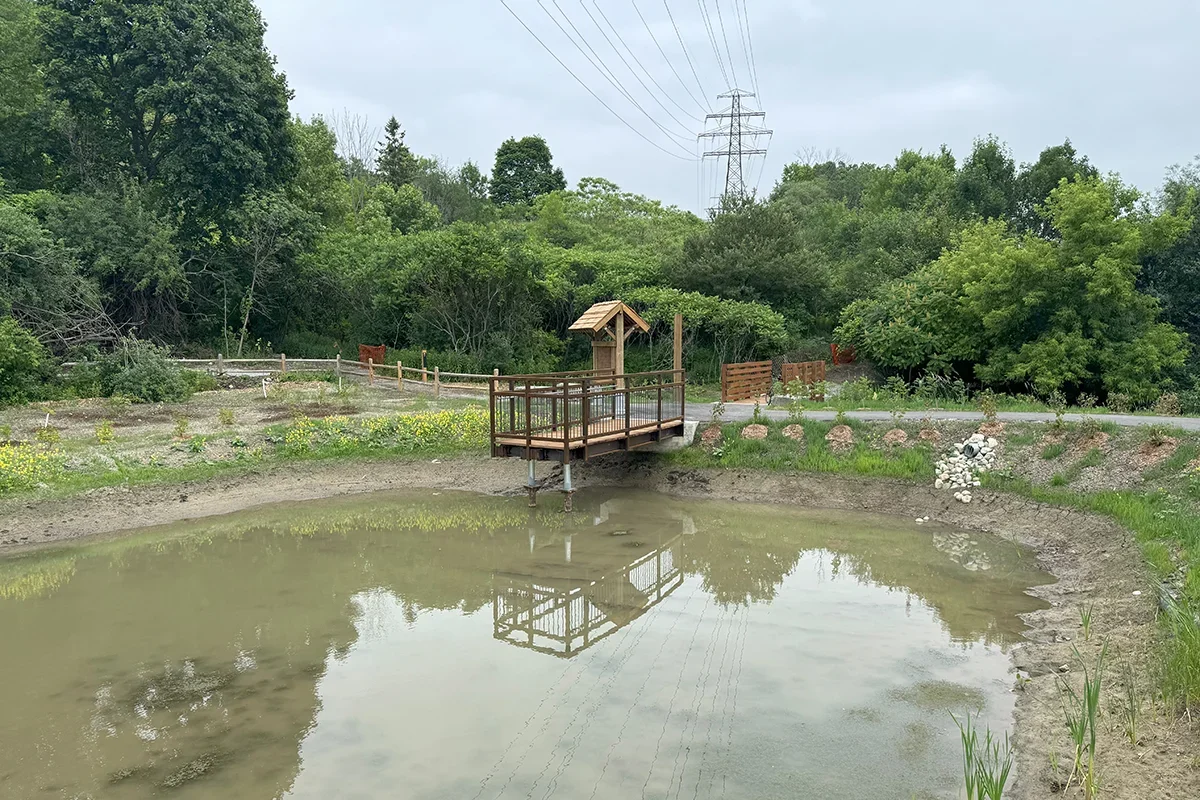 Pond in foreground with viewing platform and trees in background