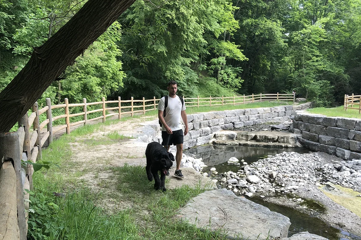 Creek with rock wall banks and man with dog on path