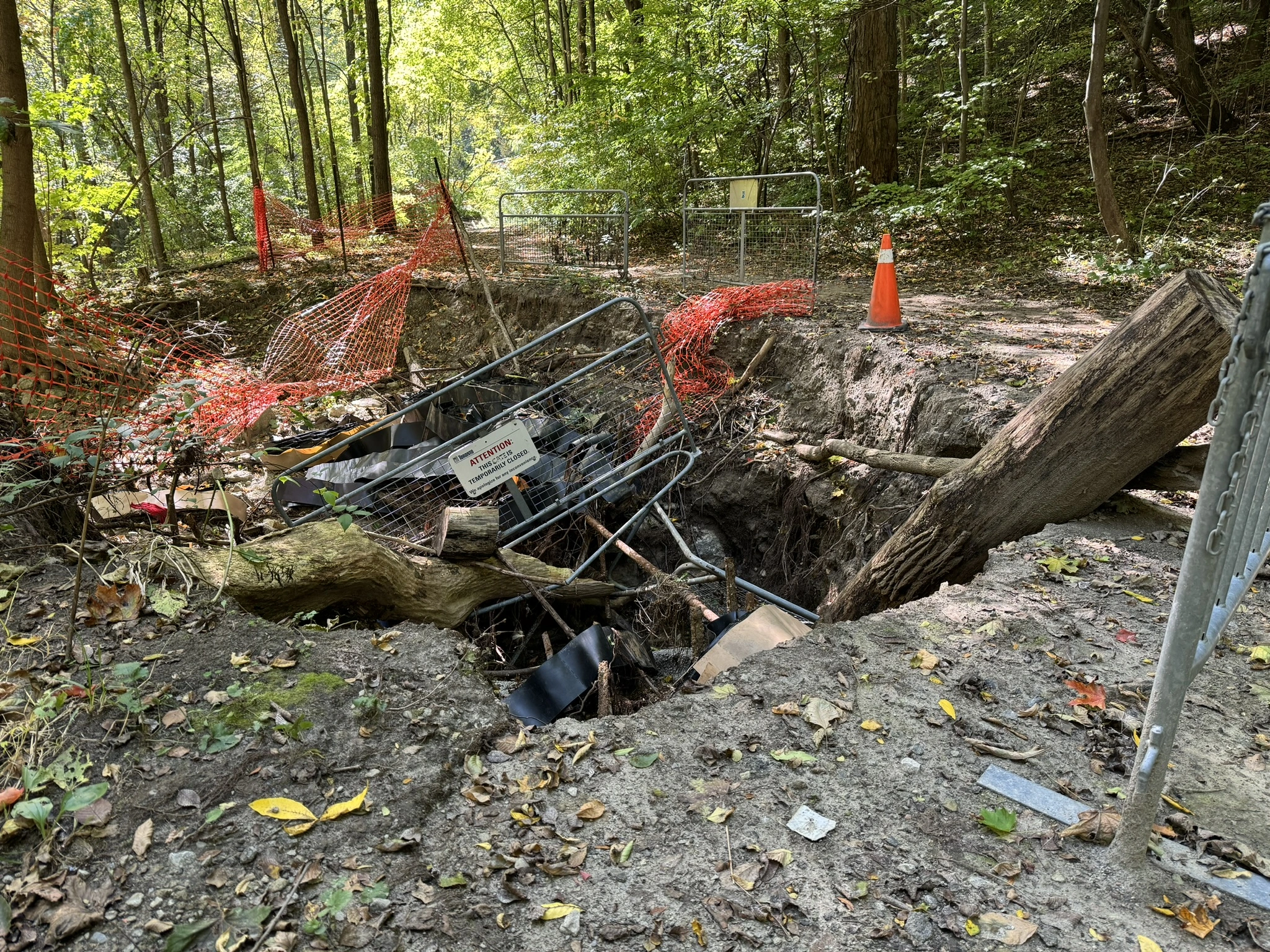 Vale of Avoca Improvement Project – It’s Happening!