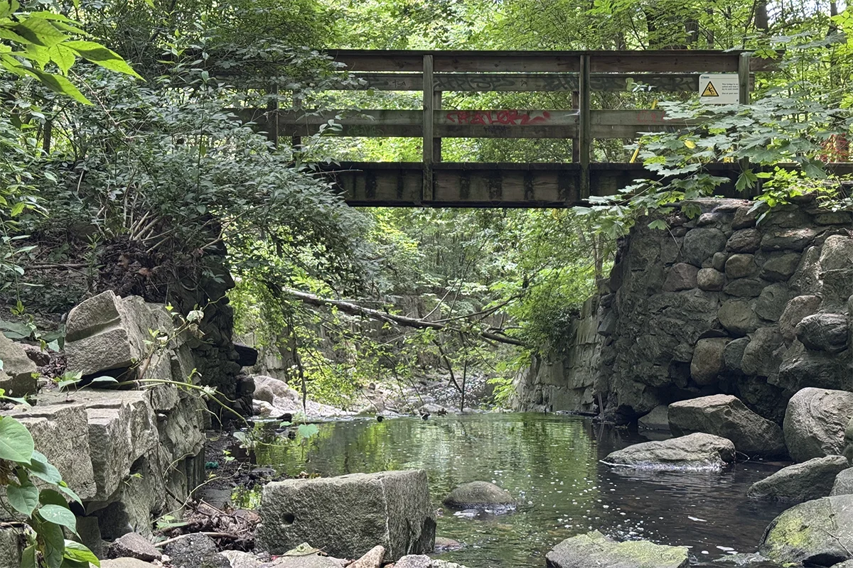 Wooden footbridge over creek surrounded by forest