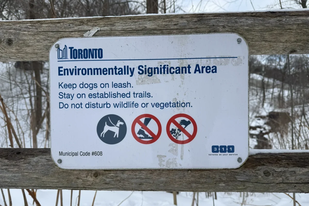 City of Toronto sign on a fence in ravine