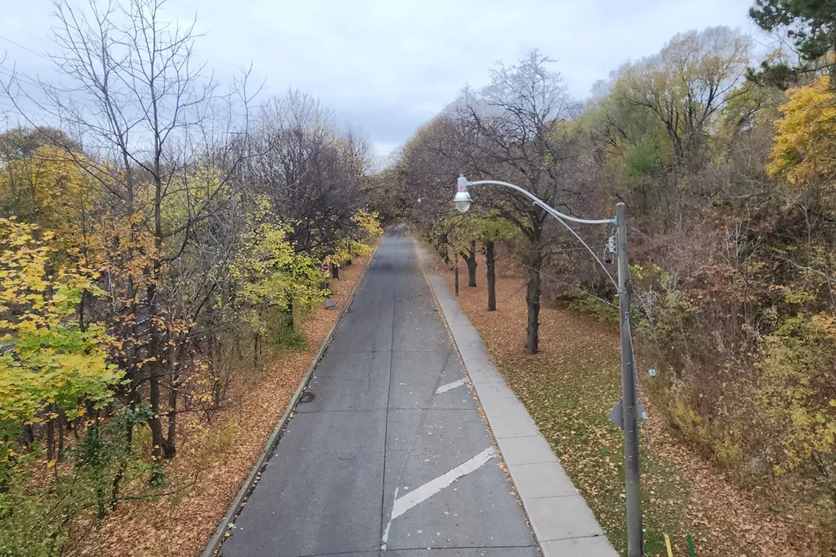View along sidewalk and road with trees and shrubs in fall colours.