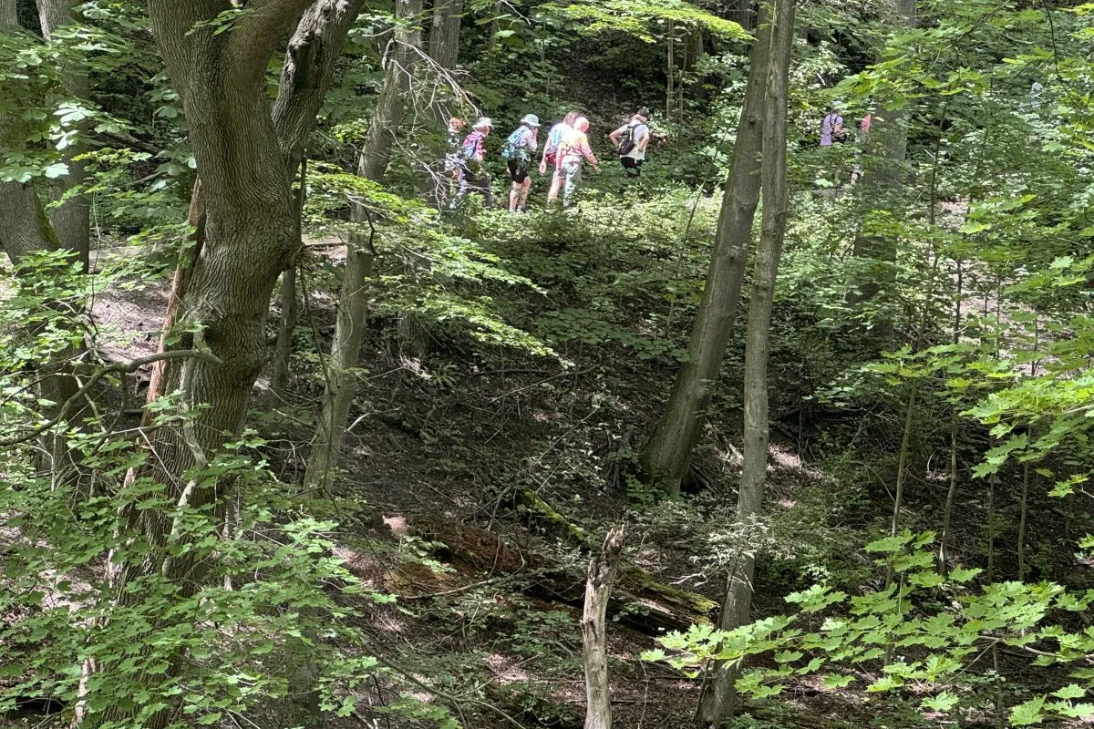 People walking on wooded path on edge of steep slope.