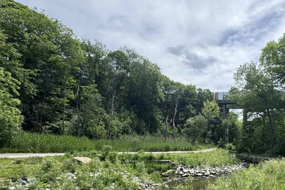 Stream with walking trail, trees and bridge in distance.