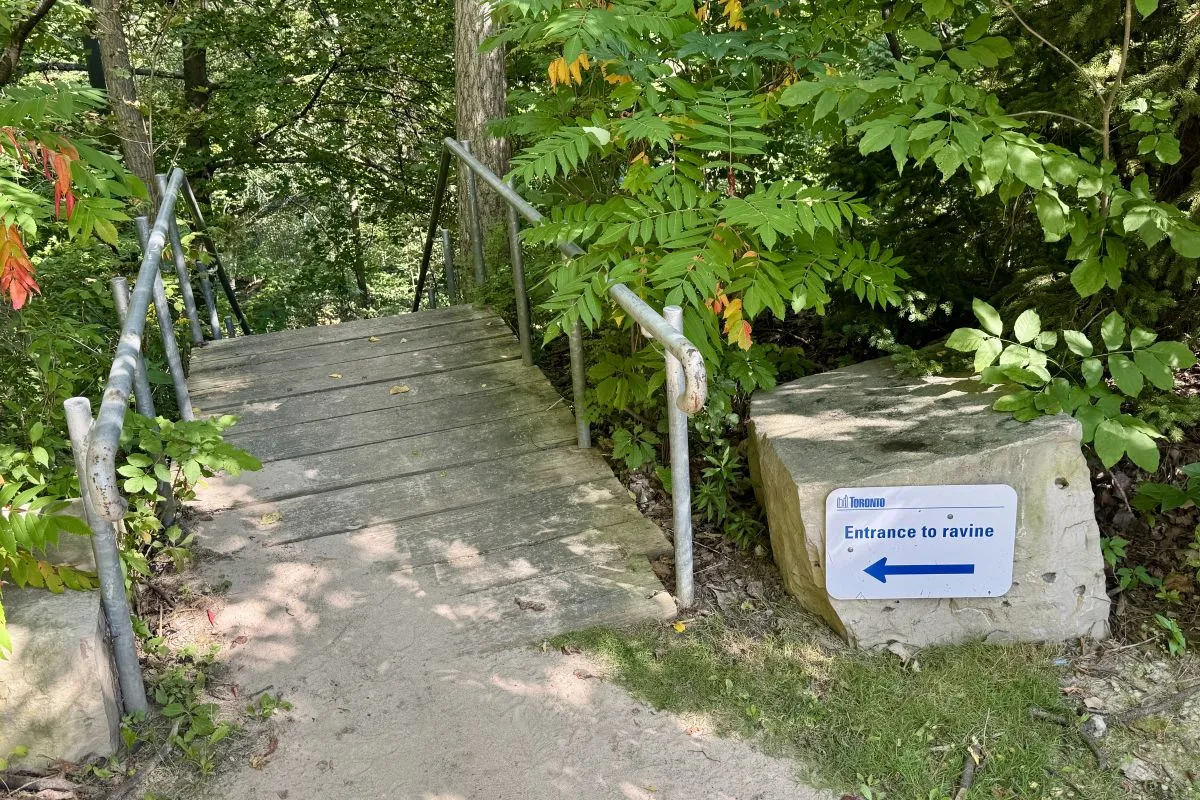 Vale of Avoca walk – 12 gateways to Avoca