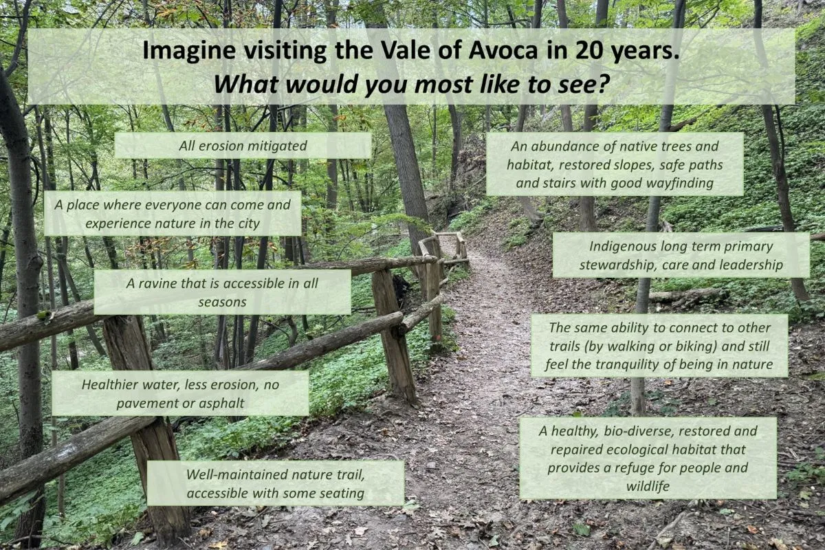 Survey-comment-graphic-_2x3-1200_