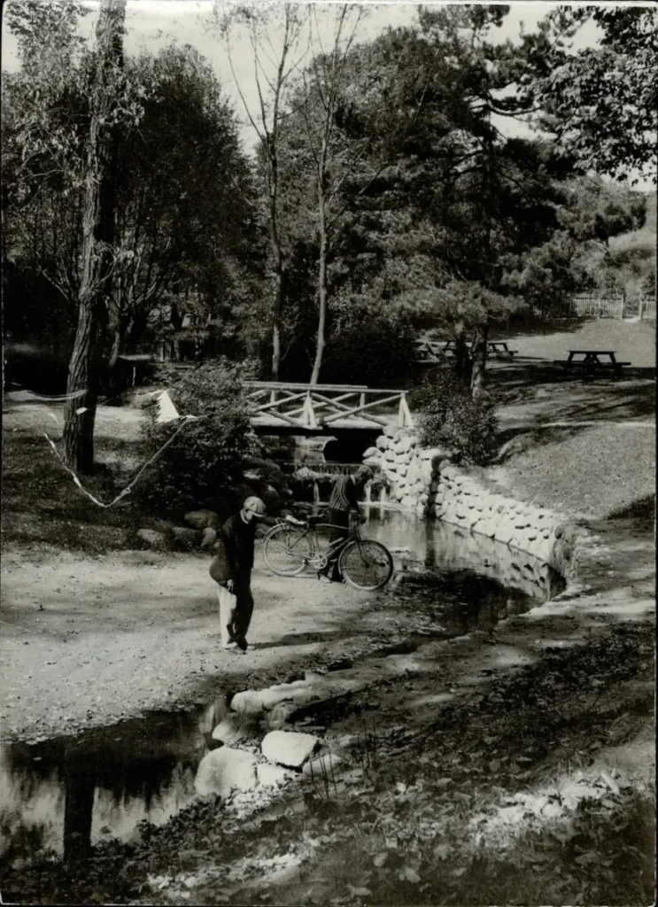 A person stands beside a small stone bridge over a creek in a wooded park.