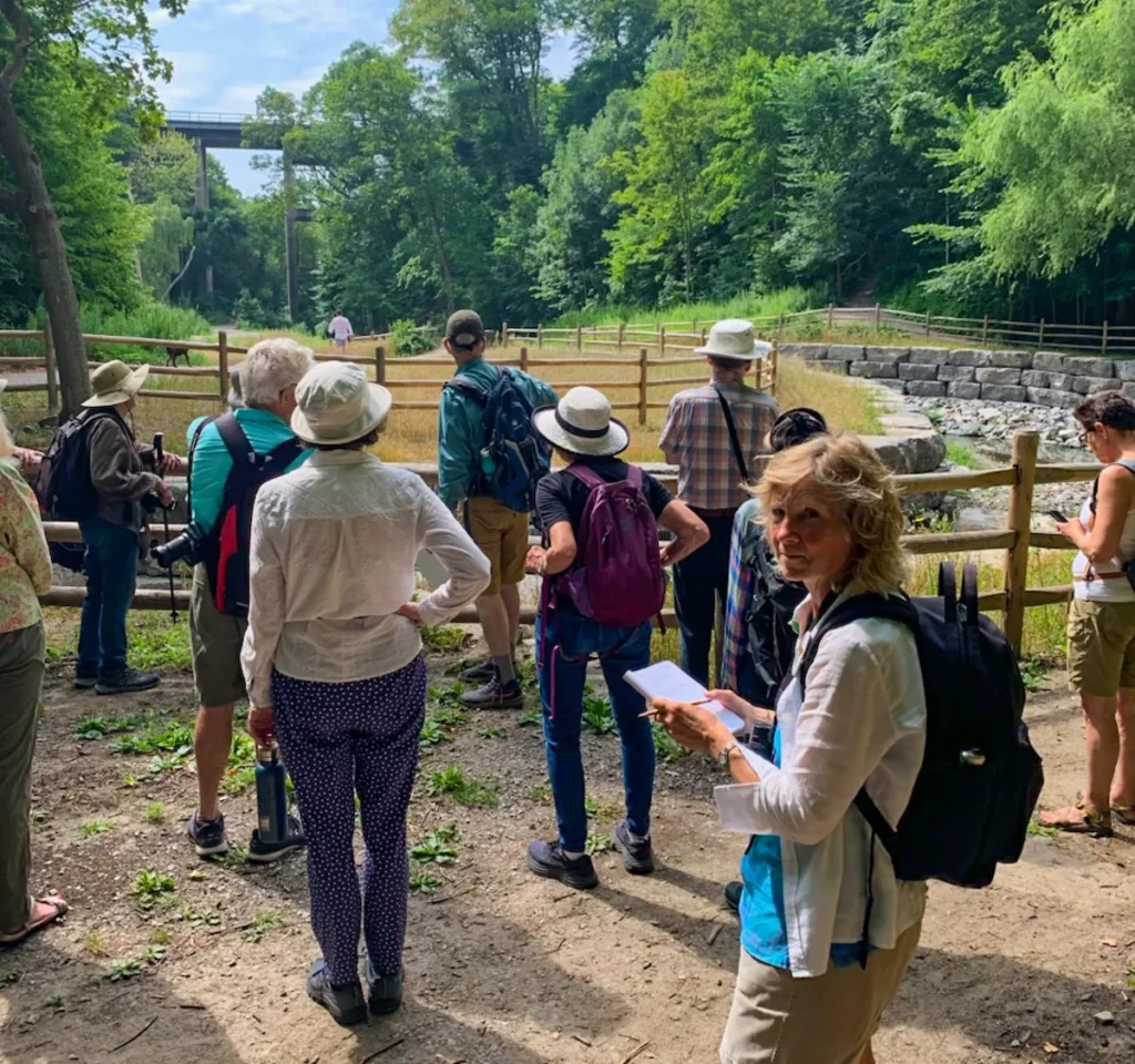 Visitors gather along a wooden fence to watch animals in a wooded enclosure.