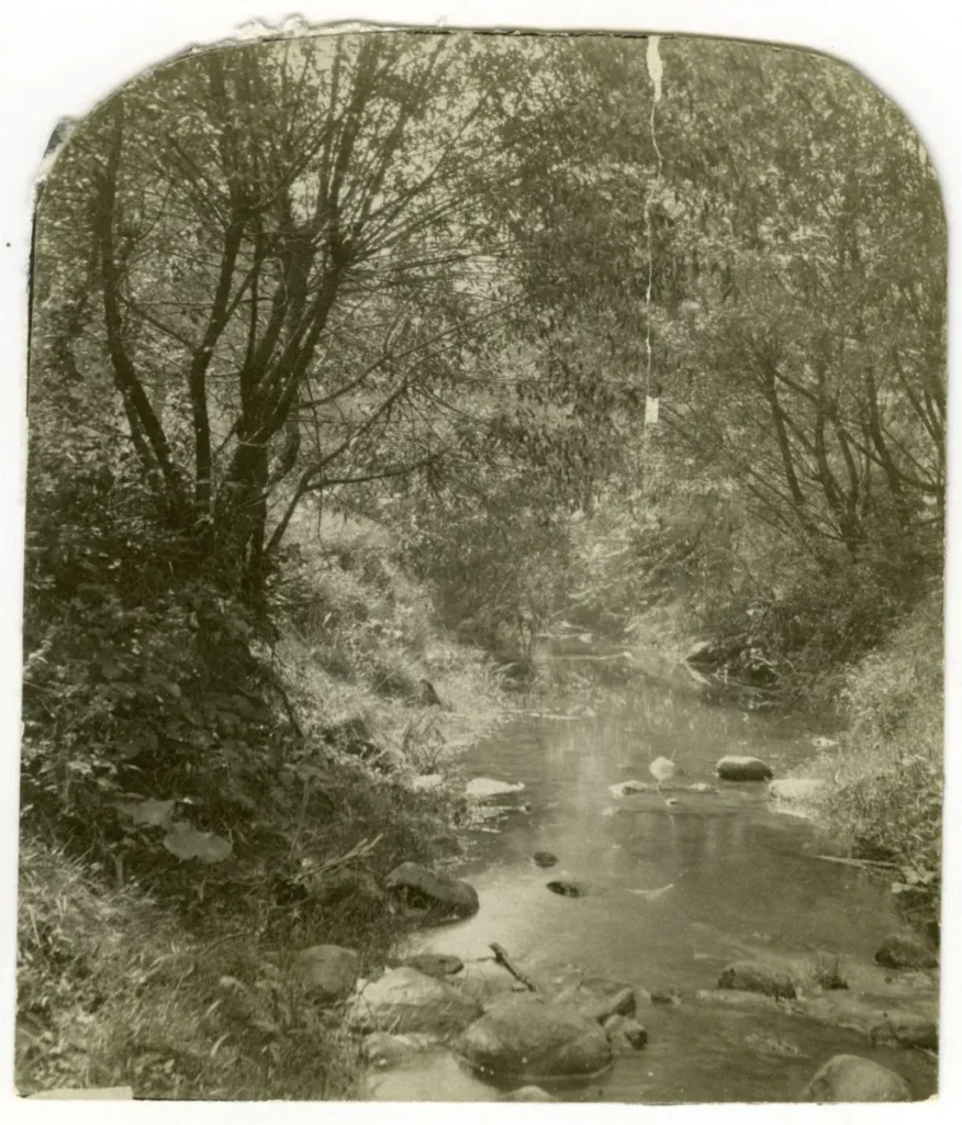 A sepia photograph of a wooded stream flowing over rocks beneath arching trees.