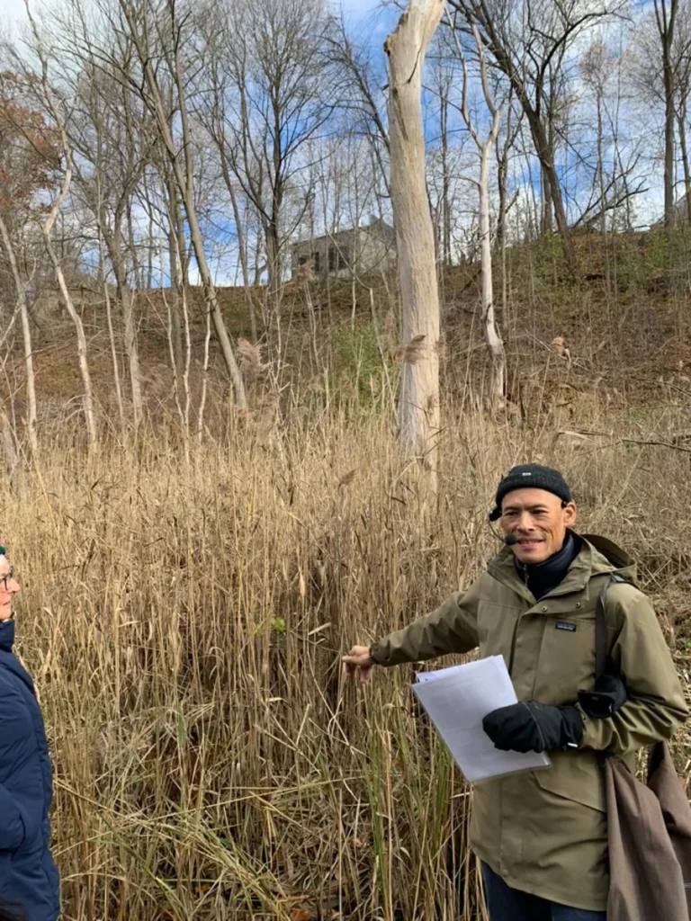 A man in a winter coat holds papers beside tall reeds in a wooded area.