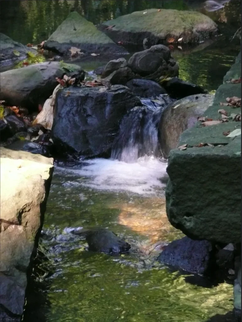 A small waterfall flows through a rocky stream surrounded by moss-covered boulders.