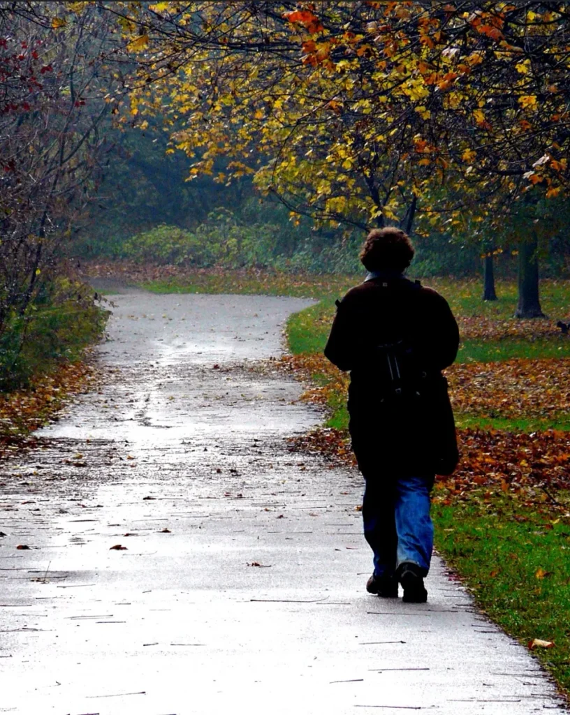 A person walks along a wet park path beneath autumn trees.