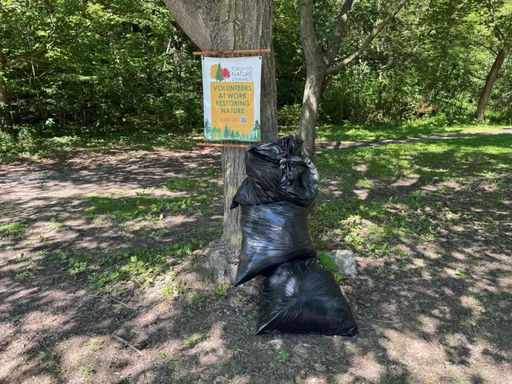 Black trash bags are tied around a tree beneath a posted sign in a wooded park.