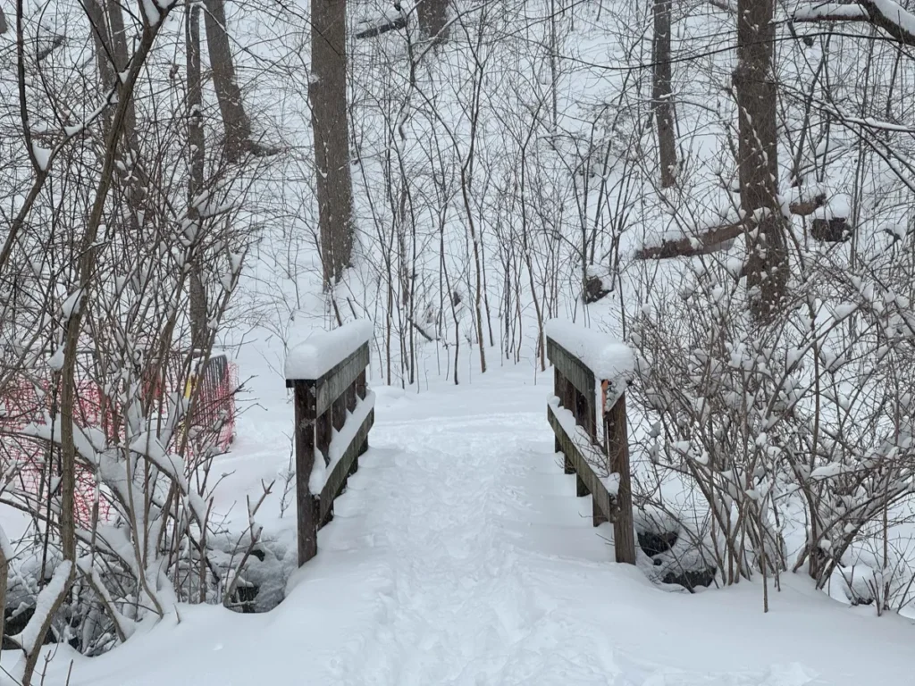 A snow-covered path crosses a small wooden bridge through a leafless winter forest.