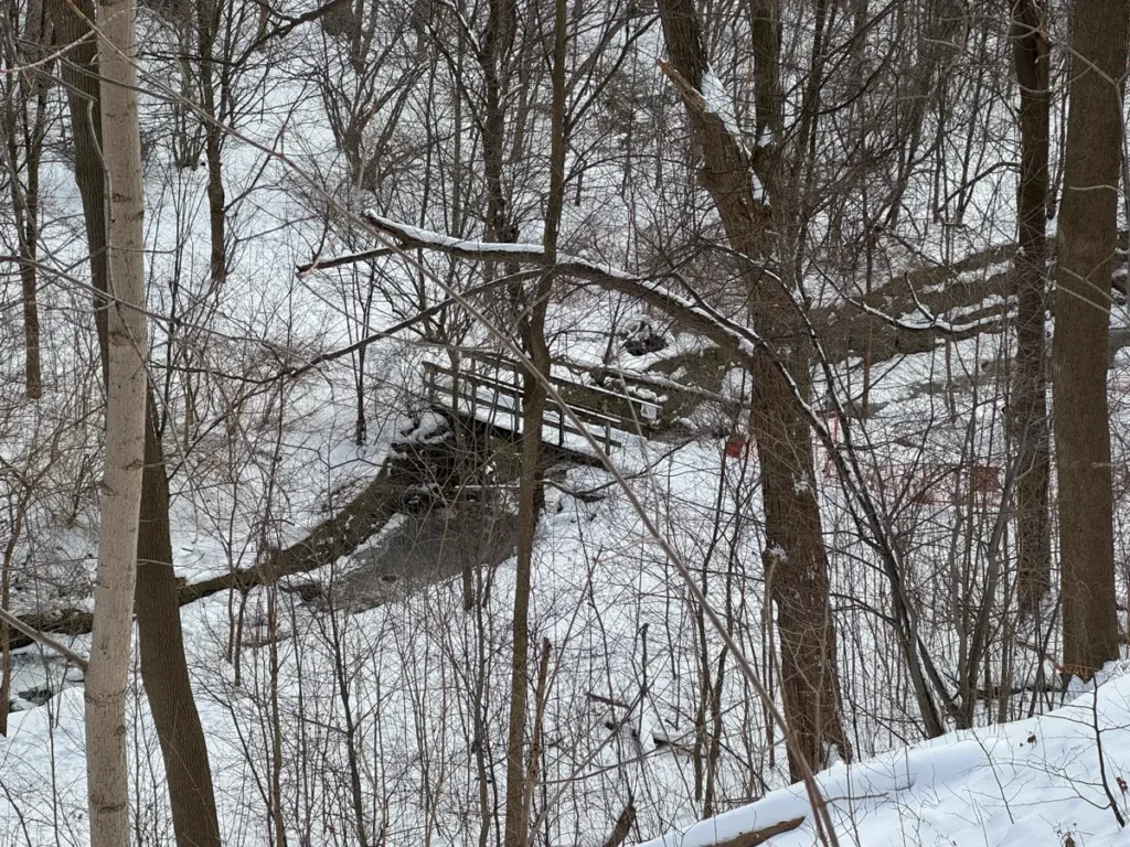 A wooden treehouse or platform sits among snow-covered trees in a winter forest.