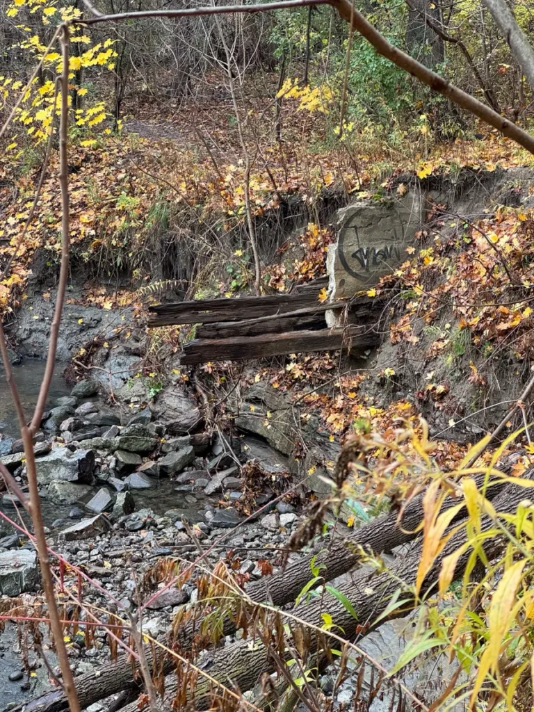 A small wooden footbridge crosses a rocky creek in an autumn forest.