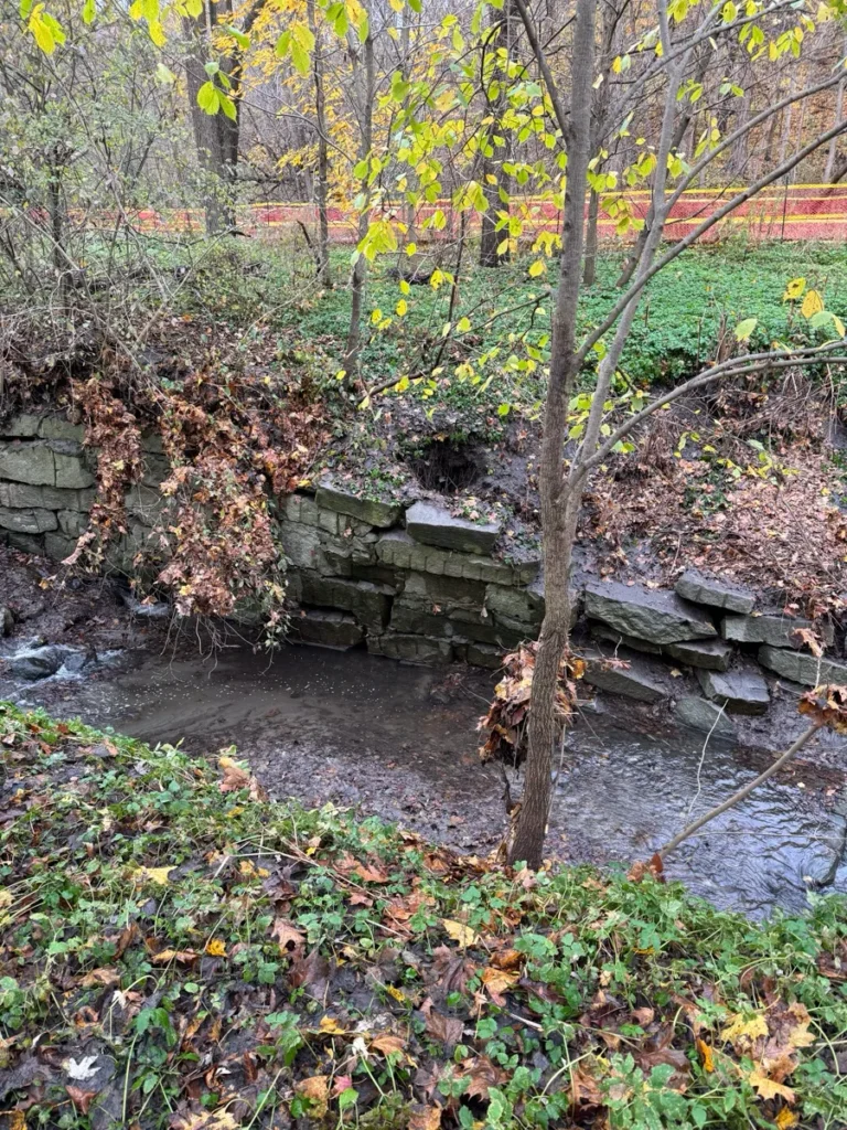 A small stream flows past a stacked stone wall beneath trees covered in autumn leaves.