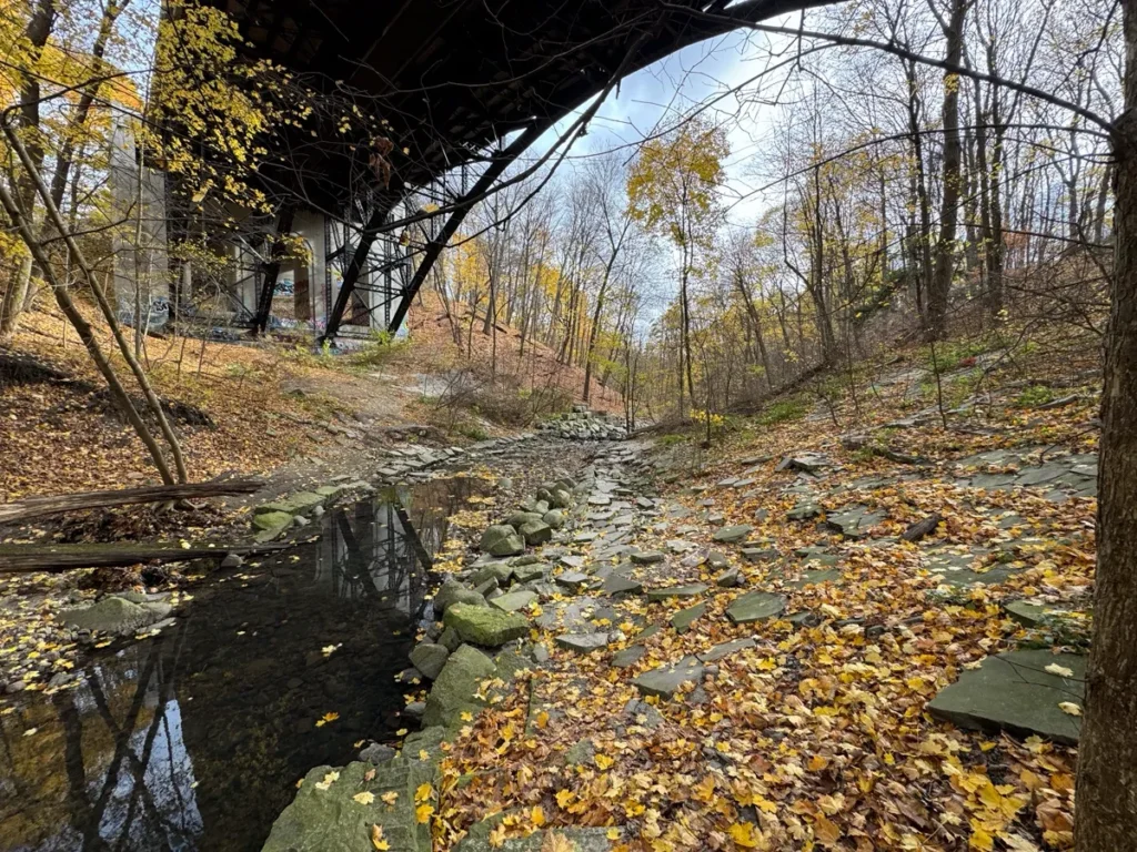 A small rocky stream covered with autumn leaves flows beneath a dark arched bridge in a wooded park.