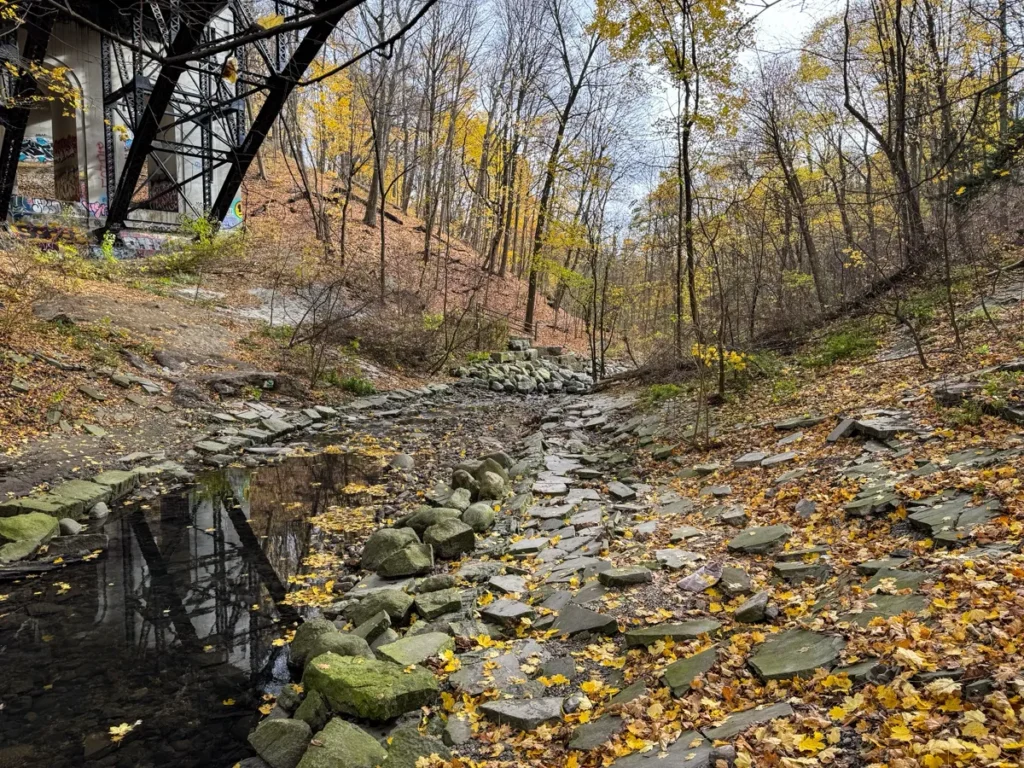 A shallow rocky creek winds through an autumn forest beneath a bridge.