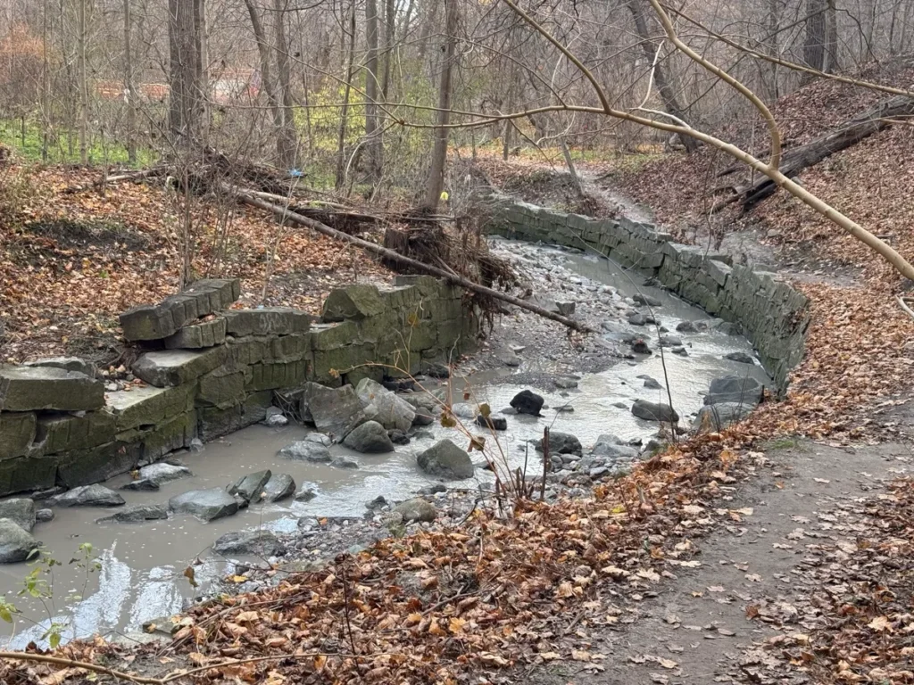 A small stream winds through a wooded area beside a stone retaining wall and leaf-covered path.