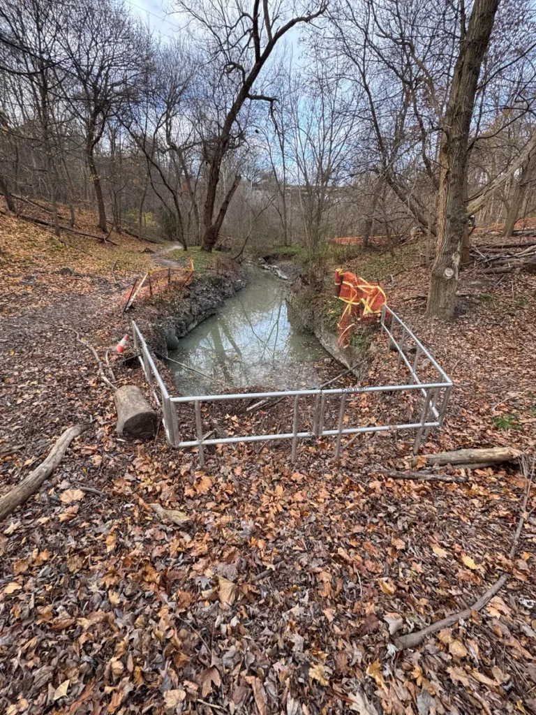 A small stream runs through a leaf-covered woodland, with a metal fence crossing it and an orange construction barrier nearby.