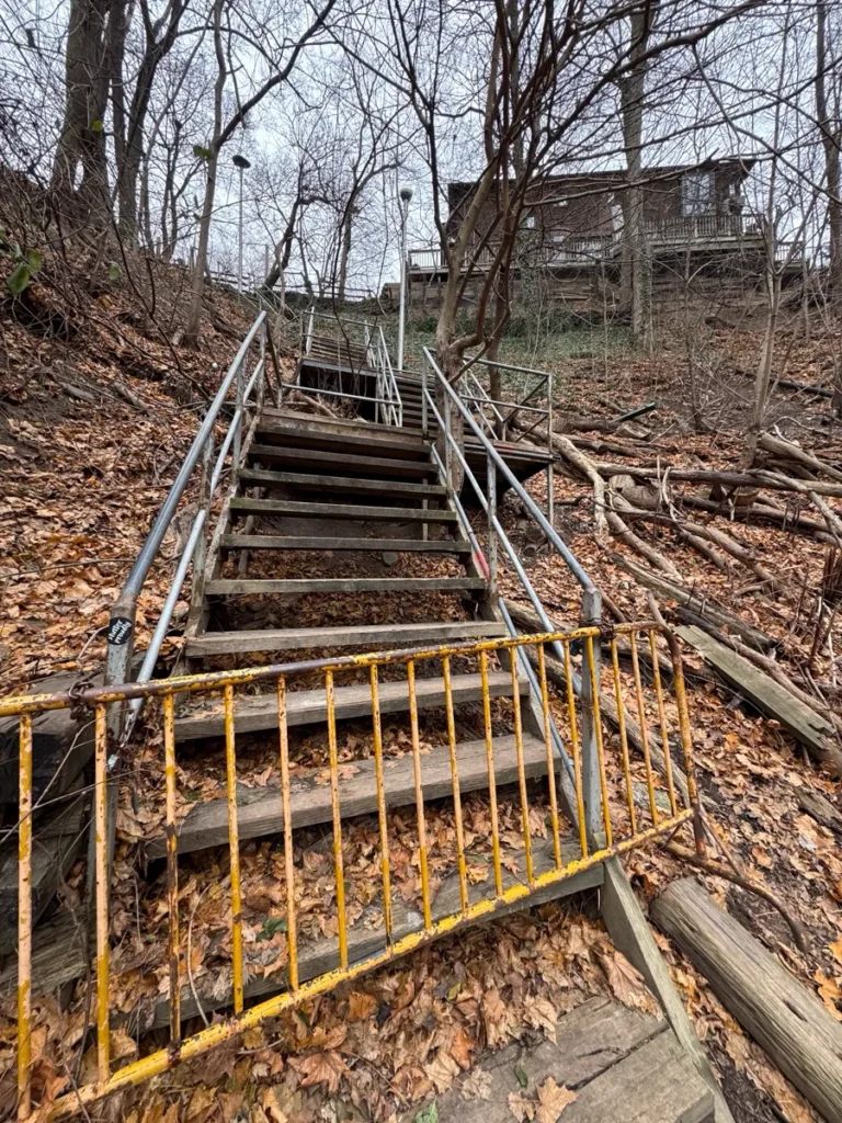 A weathered staircase with metal railings climbs a leaf-covered hillside toward a wooden building among bare trees.