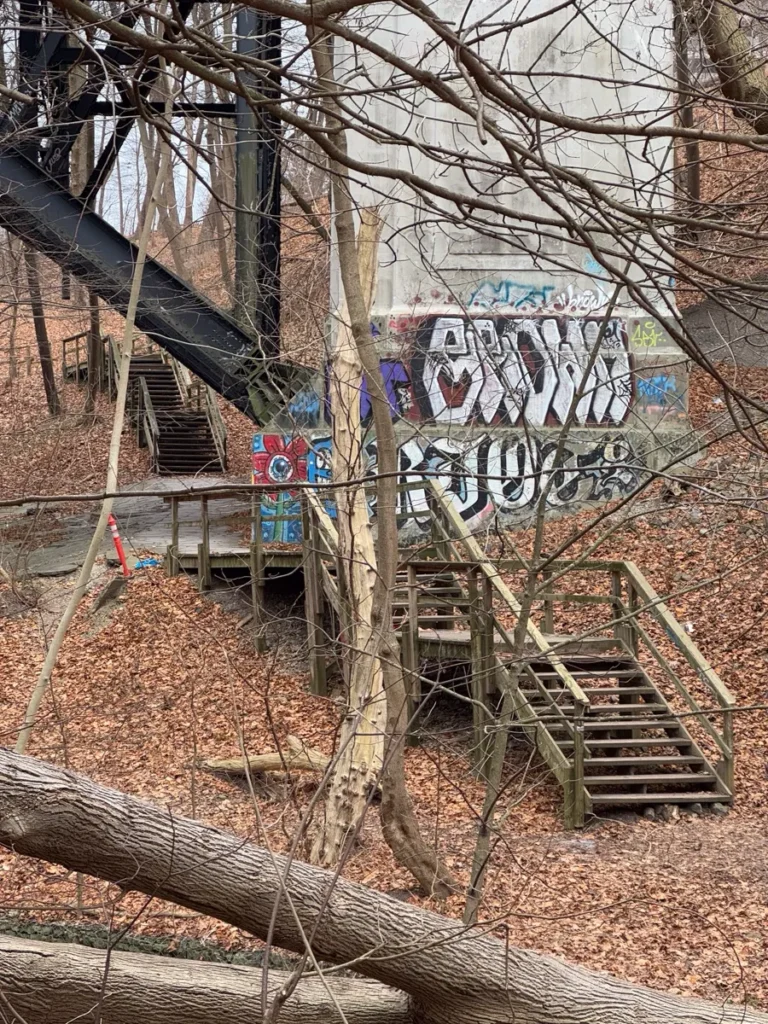 Graffiti-covered concrete structure and wooden stairways among leafless trees in a wooded area.