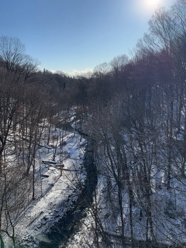 A snow-covered stream winds through leafless woods beneath a bright winter sky.