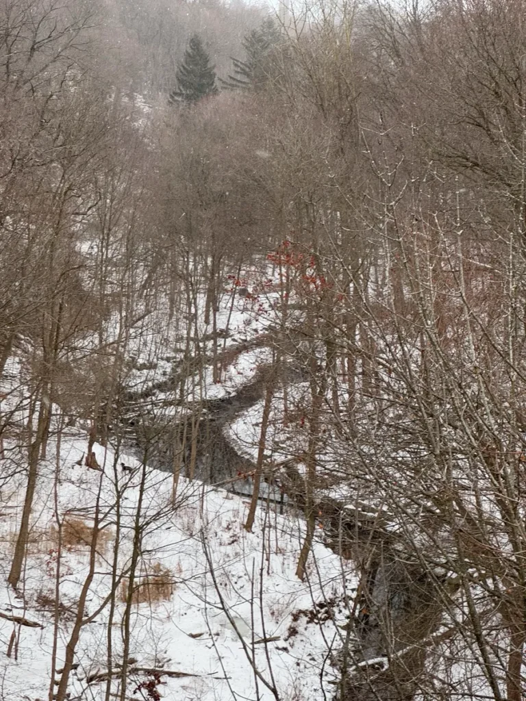 A narrow stream winds through a snow-covered, leafless forest.