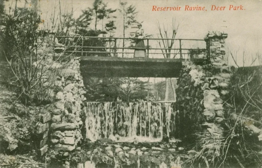 Vintage postcard of a stone reservoir dam with water flowing over it, labeled &ldquo;Reservoir Ruins, Deer Park.&rdquo;