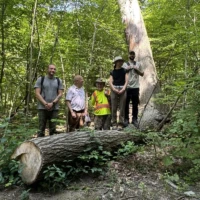 Group of 5 people standing on and behind a large cut log, surrounded by trees.