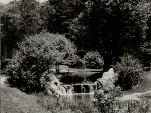 A black-and-white photograph of a small waterfall flowing through a wooded garden.