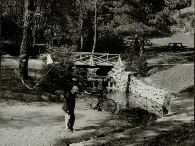 A person stands beside a small stone bridge over a creek in a wooded park.