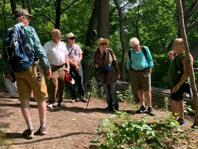 A group of hikers pause on a wooded trail surrounded by trees and greenery.