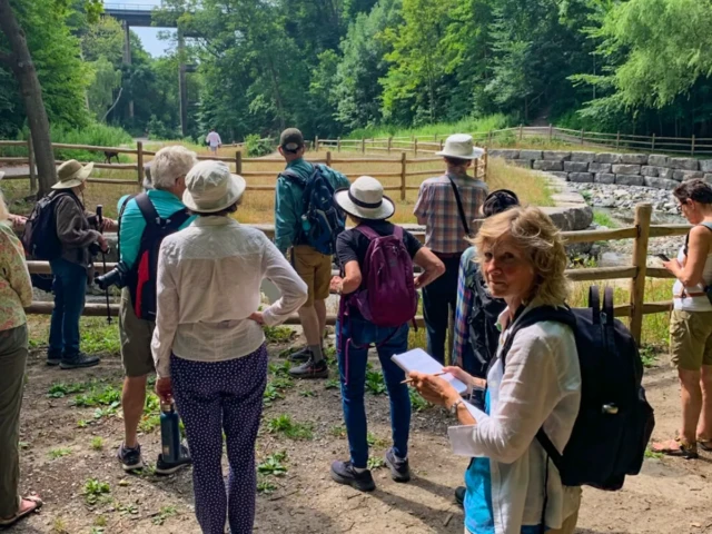 Visitors gather along a wooden fence to watch animals in a wooded enclosure.
