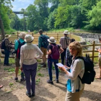 Visitors gather along a wooden fence to watch animals in a wooded enclosure.