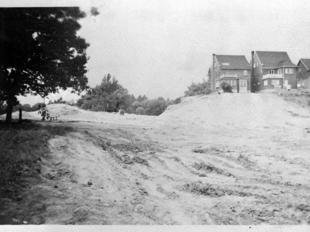 Black-and-white photograph of a dirt road leading toward two houses on a hill, with a large tree at left.