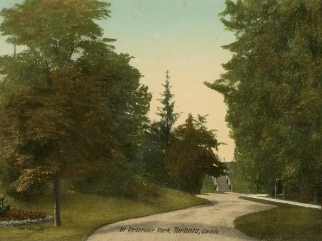 A tree-lined dirt road curves through a park toward a small carriage in the distance.