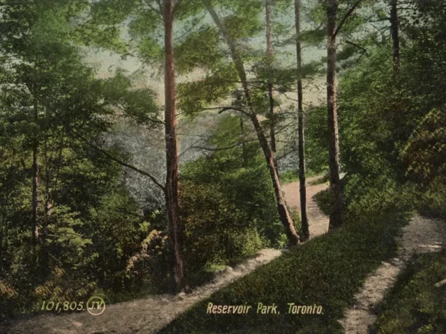 A wooded path leads through a forest to a reservoir near Toronto.