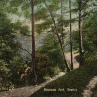 A wooded path leads through a forest to a reservoir near Toronto.