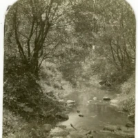 A sepia photograph of a wooded stream flowing over rocks beneath arching trees.
