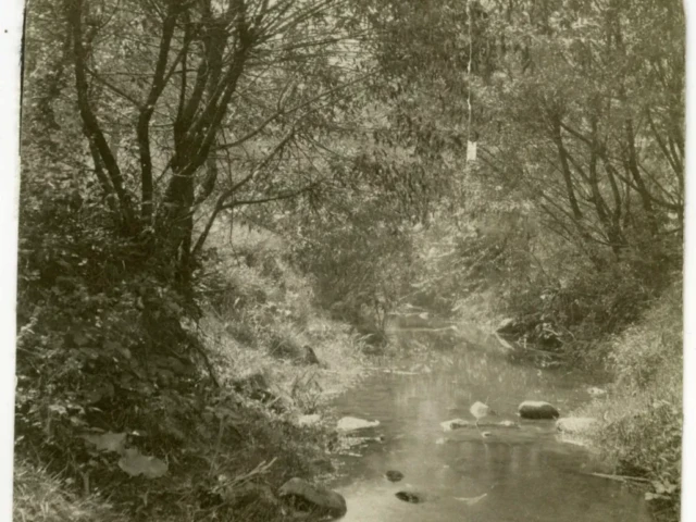 A sepia photograph of a wooded stream flowing over rocks beneath arching trees.