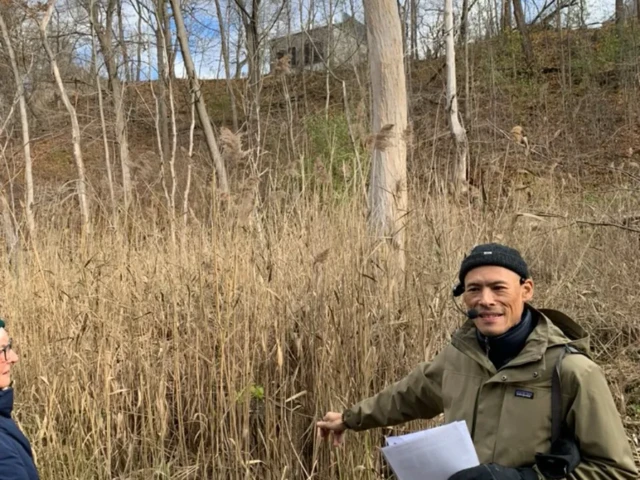 A man in a winter coat holds papers beside tall reeds in a wooded area.