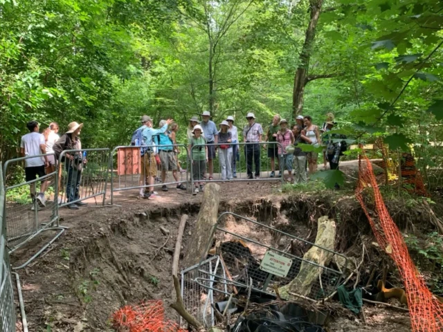 A group of people watches from a footbridge as workers examine a large, eroded pit in a wooded area.