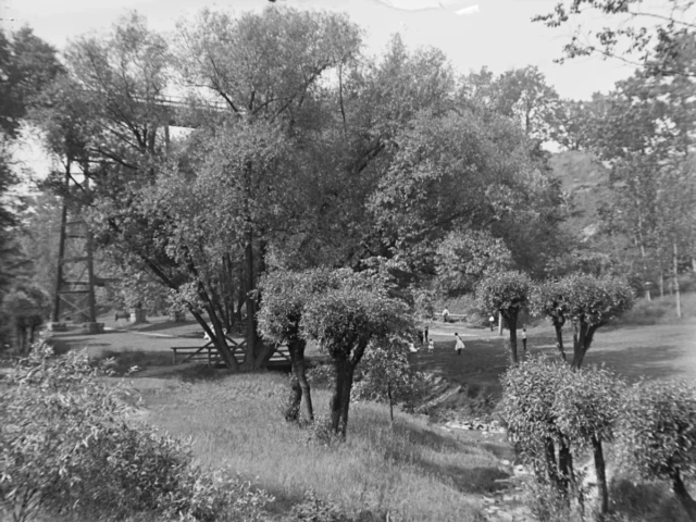 Black-and-white photograph of a tree-filled park with a path and a few people walking.