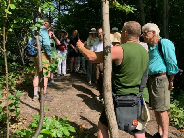 A group of people gathers around a tree in the woods as one person points toward it.