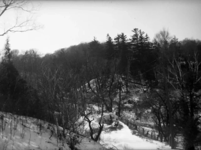 A black-and-white winter landscape with a winding snowy path through a wooded valley.