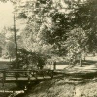 Sepia-toned photograph of a small wooden bridge over a stream in a leafy park, captioned “Reservoir Park, Tonawanda.”