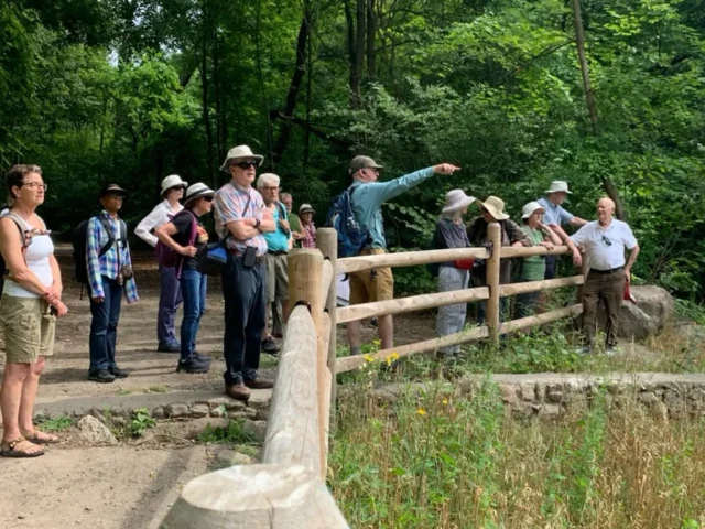 A group of people gathers around a wooden fence on a forest trail, looking toward something in the distance.